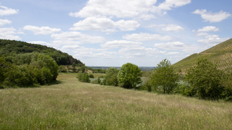 Wandern auf der Traumrunde Hüttenheim-Seinsheim