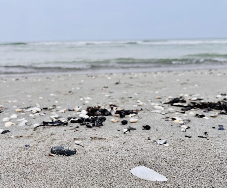 Dreieinhalb Gründe für einen Frühjahrsurlaub am Meer